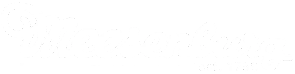 Blaues Logo mit weißem Schriftzug „Meesenburg“ und einem stilisierten Symbol.