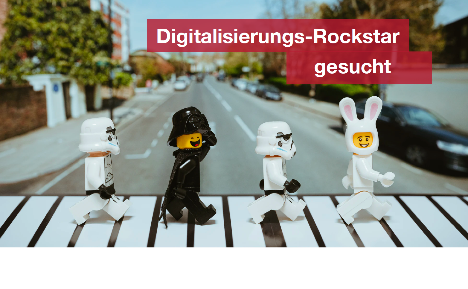 Digitalisierungsrockstar gesucht